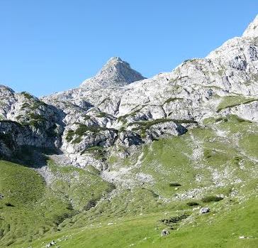 wanderung-zur-aueralm-am-tegernsee