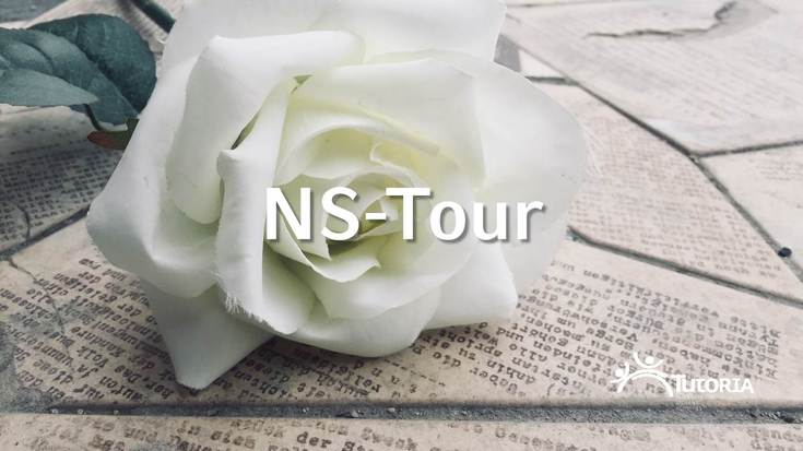 2018_ns_tour